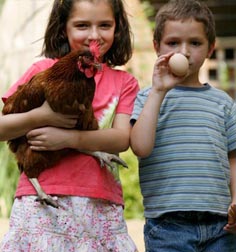 happy kids with a chicken and an egg
